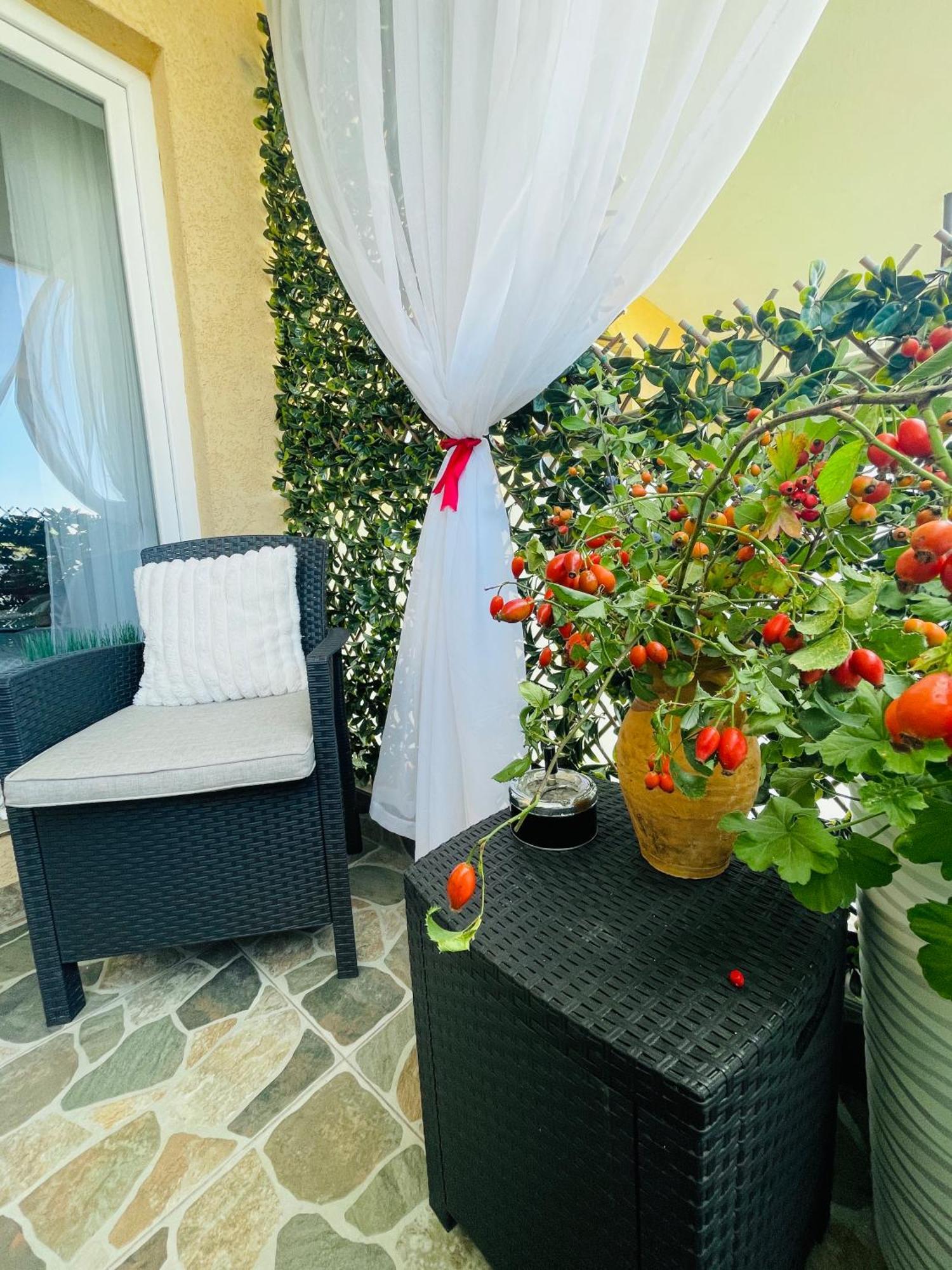 Aici Te Simti Ca Acasa Apartment Iasi Ngoại thất bức ảnh
